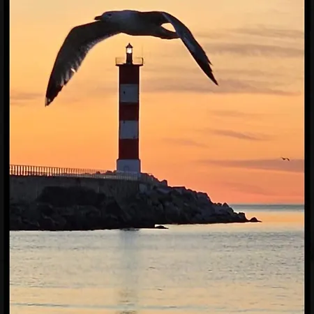 T2 A 5min Des Plages Apartment